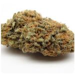 Шишки AK47  (Гидропоника, Бошка) VHQ в Выборге