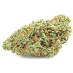 Шишки OG Kush  (Гидропоника, бошки) VHQ в Выборге